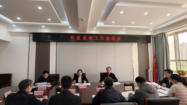 学习贯彻全市加强机关党建工作座谈会精神
——片区党建工作推进会召开