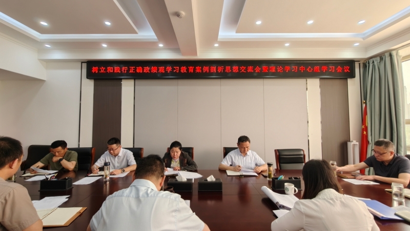 市直机关工委召开树立和践行正确政绩观学习教育案例剖析思想交流会暨理论学习中心组学习会议
